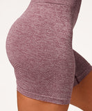 Pacy Seamless Short Sleeve Crop Top & Shorts